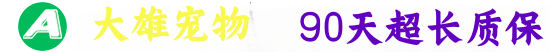 肇庆大雄宠物犬舍｜边牧/柴犬/柯基/金毛/边牧/德牧正规繁育基地-本地可上门｜90天健康保障｜终身售后指导｜拒绝星期狗