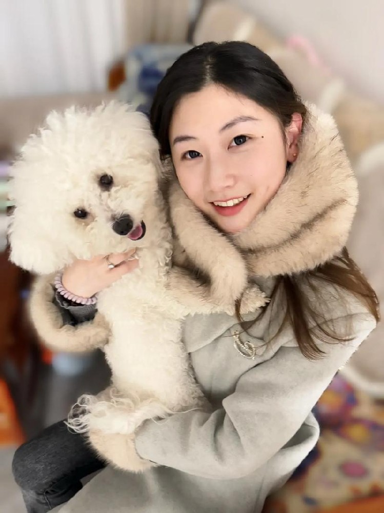 肇庆张女士｜纯种比熊真实评价