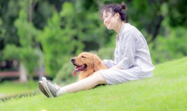 狗狗定点如厕训练实操，7 天教会定点排便，告别满屋乱拉